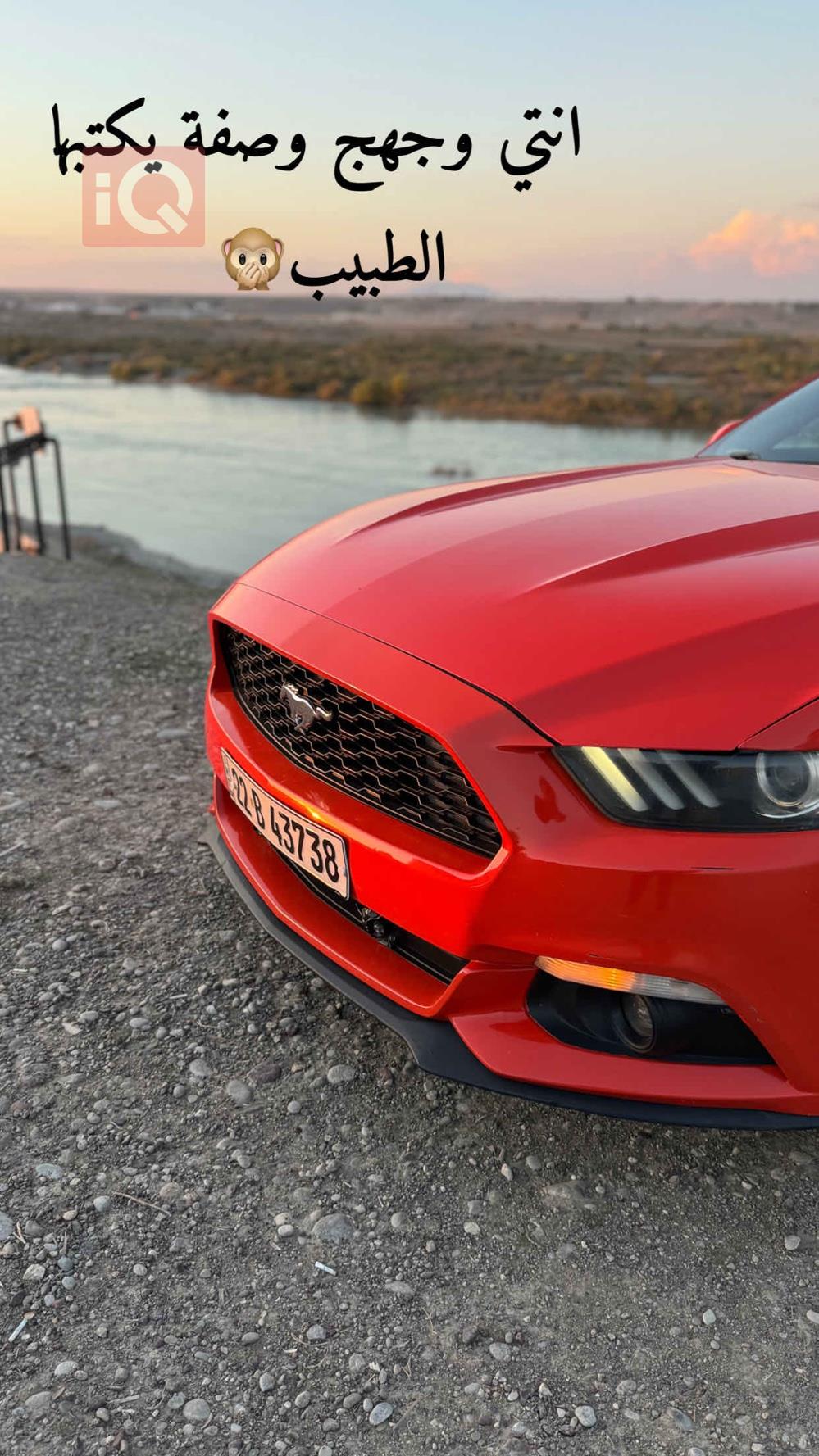 فۆرد مۆستانگ